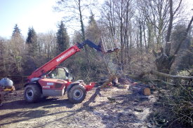 travaux forestier accueil