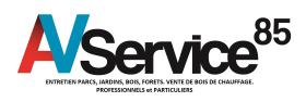 AVservice85